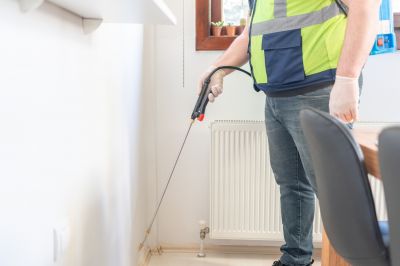 Ants Extermination Service in Mckinney, TX