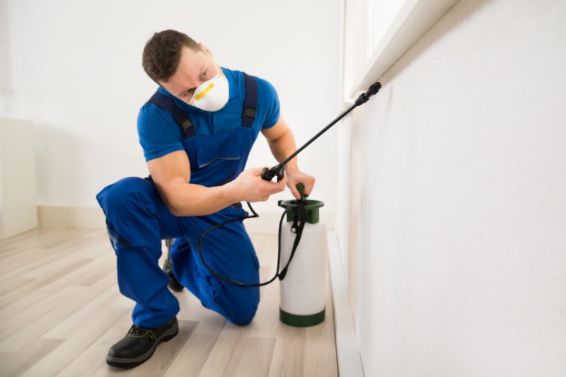 Beetle Removal in Arlington, TX