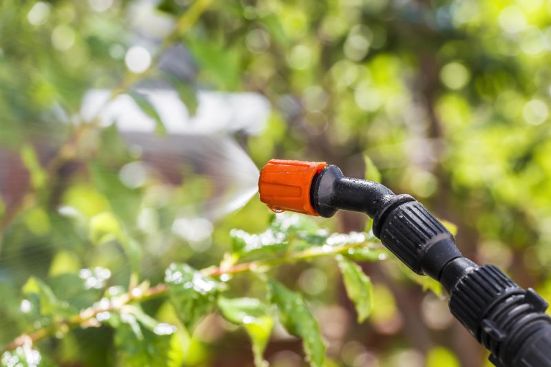 Insect Control Service in Katy, TX