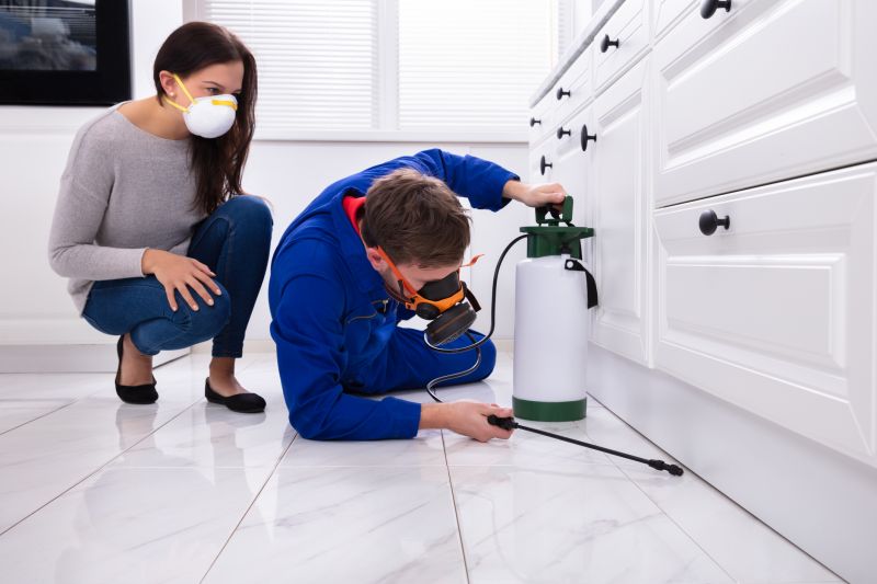 Lawn Insect Spraying in Katy, TX