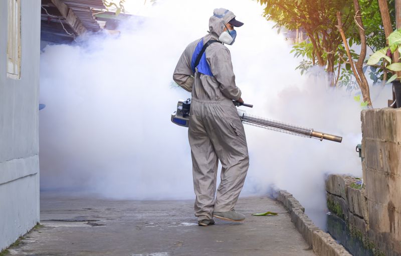 Mosquitoes Pest Control in Rockwall, TX
