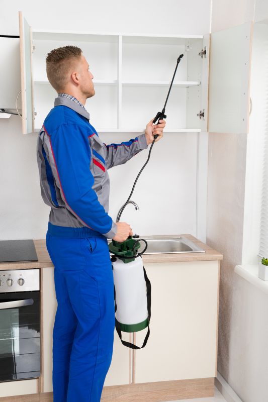 Silverfish Extermination in Katy, TX
