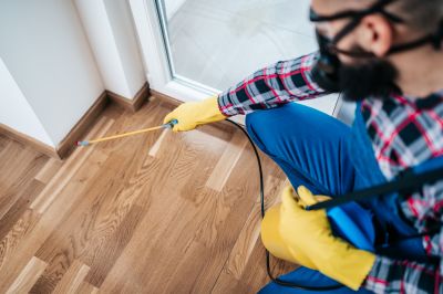 Spider Control Service in New Braunfels, TX
